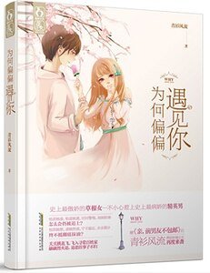 《为何偏偏遇见你(出书版)》