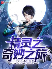 《精灵之奇妙之旅》