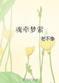 魂牵梦萦
