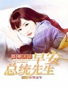 《隐婚天后:早安总统先生》