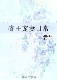 《睿王宠妻谗常》