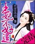 《王妃不好追》