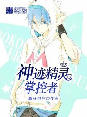 《神奇宝贝之精灵掌控者》