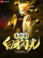 《木叶的白牙闪光》