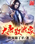 《大唐政治家》