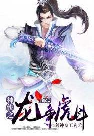 《神侠之龙争虎斗》