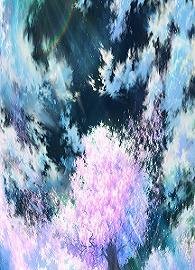 《(BG-火影同人)对不起,我爱你,在樱花凋零时》