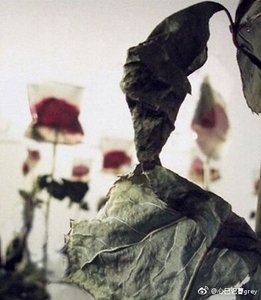 《死爱第二卷》