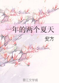 《一年的两个夏天》