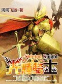 《光辉骑士》