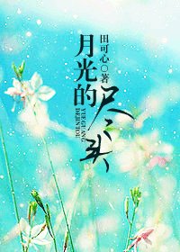 《月光的尽头》