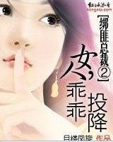 绑匪总裁②：女人，乖乖投降