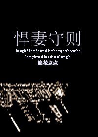 《悍妻守则》