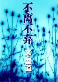 不离不弃