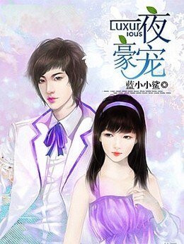 一夜豪宠：总裁小娇妻