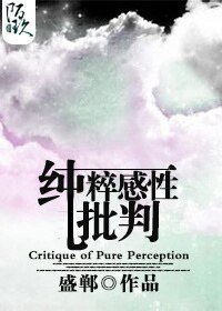 《纯粹感性批判》