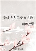 《宰辅夫人的荣宠之路》