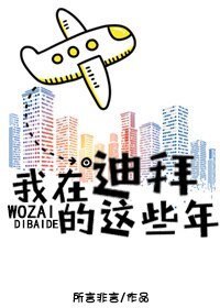《我在迪拜的这些年》