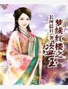 《梦续红楼之盗玉》