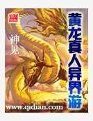 黄龙真人异界游