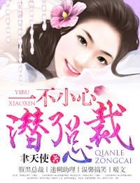 《一不小心潜了总裁/一不小心爱上总裁》