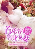 《限时婚约,首席的替身宠妻》