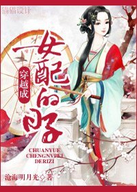 《穿越成女配的日子》