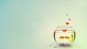 《我的店长大人》