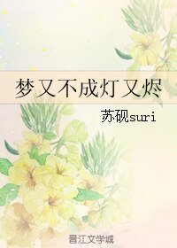 《梦又不成灯又烬》