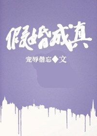 假婚成真/何先生上位记