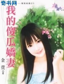 《我的傻瓜娇妻》