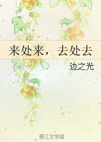 来处来，去处去