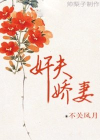 奸夫娇妻