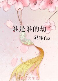 谁是谁的劫