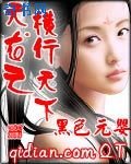《天龙之横行天下》