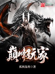 《巅峰玩家》