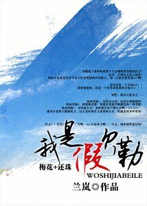 我是假贝勒（梅花+还珠）
