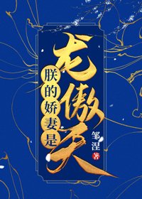 《朕的娇妻是龙傲天(女穿男)》