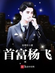《首富杨飞》
