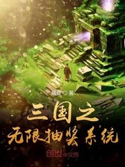 《三国之无限抽奖系统》