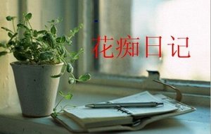 《花痴日记》