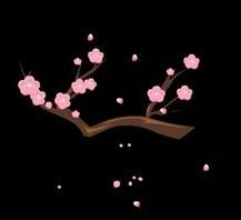 《断红尘》