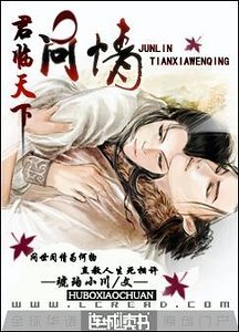 问情系列之君临天下