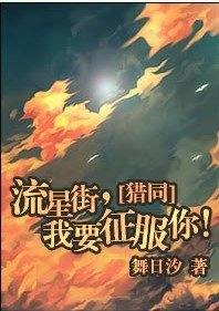 《(猎人同人)流星街,我要征服你!》