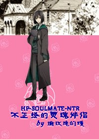 《(HP同人)不正经的灵魂伴侣》