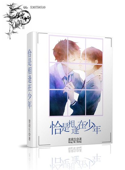 恰是相逢在少年