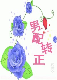 《男配转正》