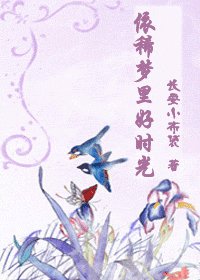 《依稀梦里好时光》