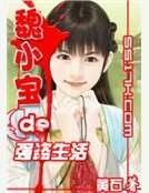 魏小宝的强盗生活