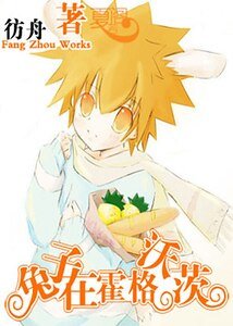 （HP+家教同人）兔子在霍格沃茨